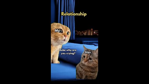 2 Cats talking meme Funny Viral | Tiktok #catmemes #cat funny