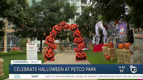 Padres provide place to celebrate Halloween