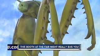 Bug Ology booth at Western Idaho Fair