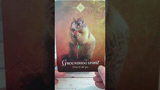 Gemini Guidance | Your Next 7 Days #gemini #shorts #tarotreading