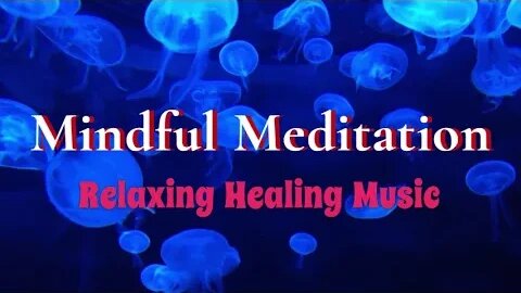 Mindful Meditation - Calm Healing Music 2HR PT 9