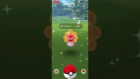 Shiny Compilation