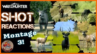 Way of the Hunter - Animal SHOT Reactions Montage 3