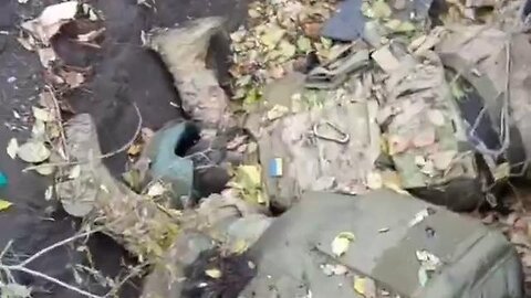 RUSSIAN ASSAULT GROUP CAPTURES MAJOR AFU POSITIONS IN PRIYUTNOYE, ZAPOROZHYE (18+)