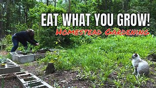 EAT WHAT YOU GROW | Feeding the Homestead | Woman Builds Tiny Cabin in the Woods Alone