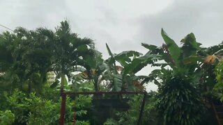 LIVE Luzon Philippines Noontime Weather Update