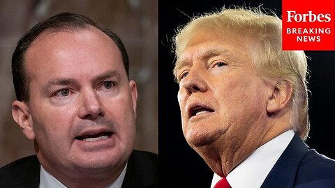 ‘Why Have You Not Denounced Him Publicly’- Mike Lee Confronted About Allegiance To Trump