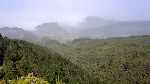 Madeira - Pico das Pedras - Portugal