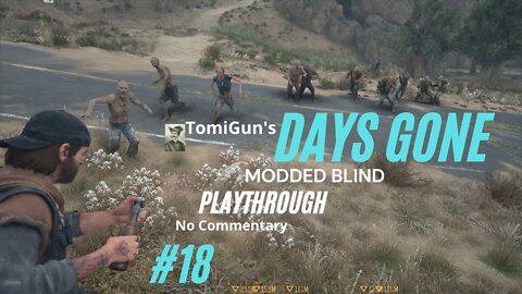Days Gone - Part 18 modded Blind Playthrough / Első végigjátszás - 18. rész (hun sub/magyar felirat)