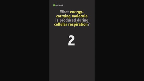 Biology Quiz: What energy-carrying molecule is produced during cellular respiration?