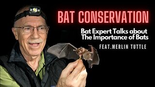 Bat Expert Talks about Importance of the Bats