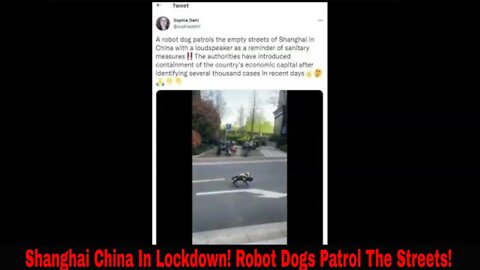 Shanghai China In Lockdown! Robot Dogs Patrol Streets! (Video)