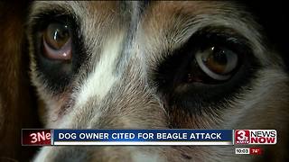 Humane Society cites woman whose dog mauled beagle