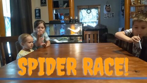 Halloween Spider Race | Krazy Kidz Creations