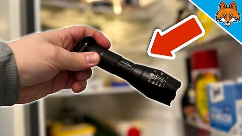 Put a Flashlight in the Fridge and WATCH WHAT HAPPENS💥(Ingenious)🤯