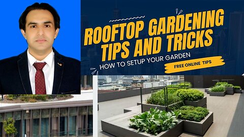 Rooftop Gardening l Your Green Haven Above