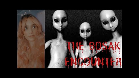 The Bosak Encounter; Strange and Rare Case of Craft & ET Sighting in Wisconsin