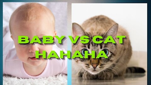 baby vs cat hahaha