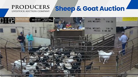10/3/2023 - Producers Livestock Auction Company Sheep & Goat Auction