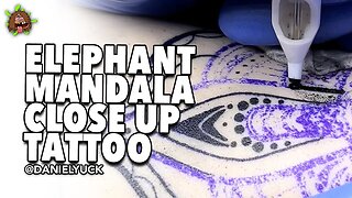 Elephant Mandala Close Up Tattoo Timelapse