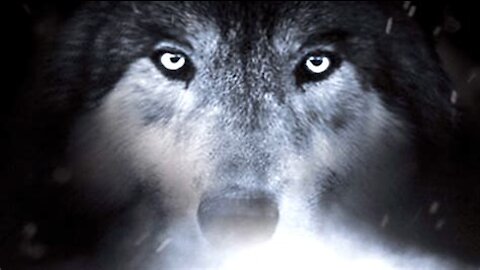 The HU - Wolf Totem