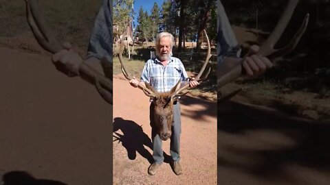 Ron gets an elk at Buffalo Peaks Colorado Sept. 29th 2022 (Elk Hunting)