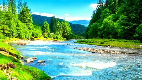 Beautiful Mountain River Flowing Sound. Forest River, Relaxing Nature Sounds/ Sleep/