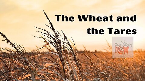 The Wheat and the Tares, a parabel of Jesus #bibletime #jesus