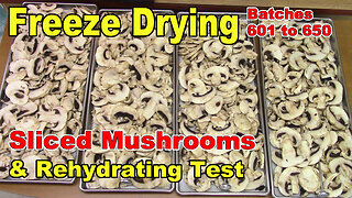 Freeze Drying & Rehydrating Sliced Mushrooms - Batch 625