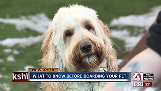 What to know before boarding your pet