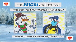 The SNOWvid Enquiry! Why did the Snowman get arrested?