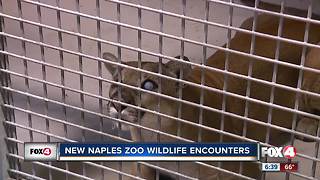 New Naples Zoo Wildlife Encounters