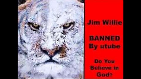 Jim Willie - Do You Believe in God? BANNED by utube