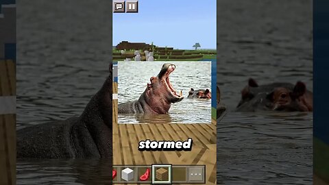 Hippo Storms into your house