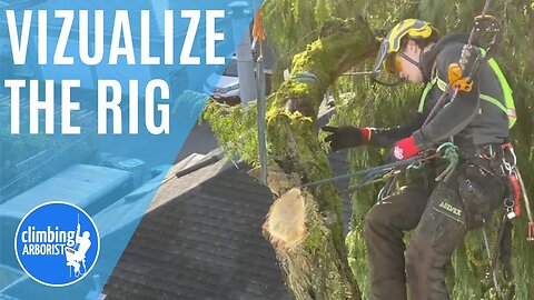 Visualize the rig, before you cut the branch