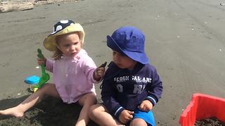 Two Adorable Toddlers Quarrel Over Sand on the Beach