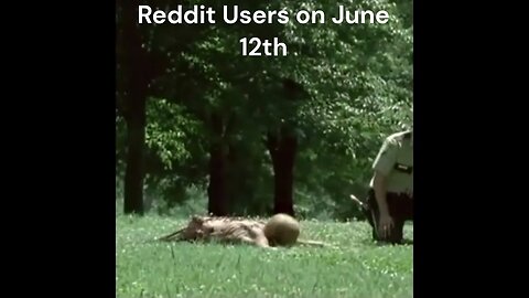 Reddit Users on June 12th