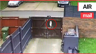Shocking moment delivery driver hurls ASOS parcel 25ft over a garden fence