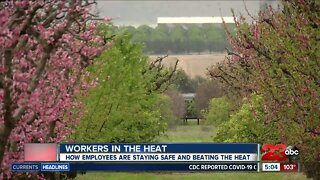 How workers who are required to do jobs outside are adjusting to excessive heat