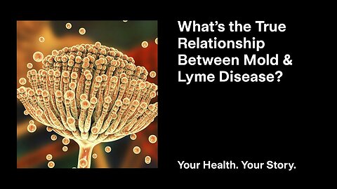 What’s the True Relationship Between Mold and Lyme Disease?