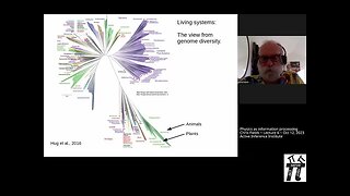 "Physics as Information Processing" ~ Chris Fields ~ Lecture 6