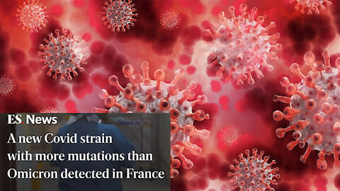 IHU variant: New Covid strain with more mutations than Omicron detected in France