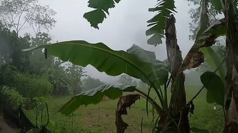 Beauty of village during rain