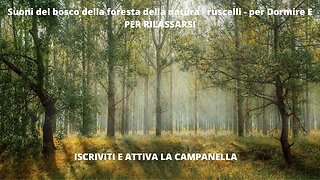 3 ore di Suoni del bosco della foresta e della natura - ruscelli - per Dormire - e relax