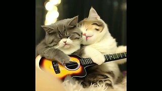 Cats sing about love