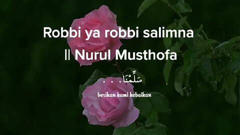 Ya Robbi Sallimna || Nurul Musthofa . #sholawat #sholawatnabi #sholawatmerdu