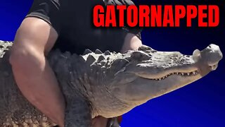 Gatornapped