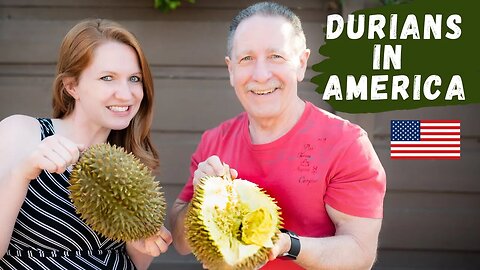 The best durian in the world | Musang King Malaysia 🇲🇾