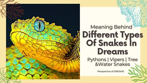 Different Types Of Snakes In Dreams | Biblical Perspectives