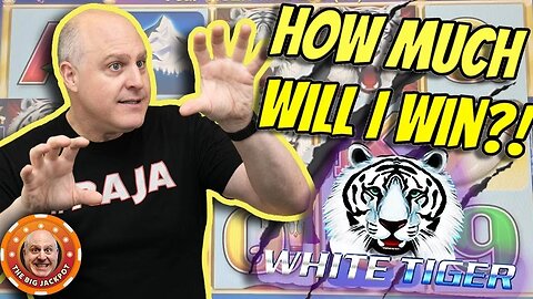 🐯How Much Will I Win on White Tiger Slots?! | 🎰 Raja Slots